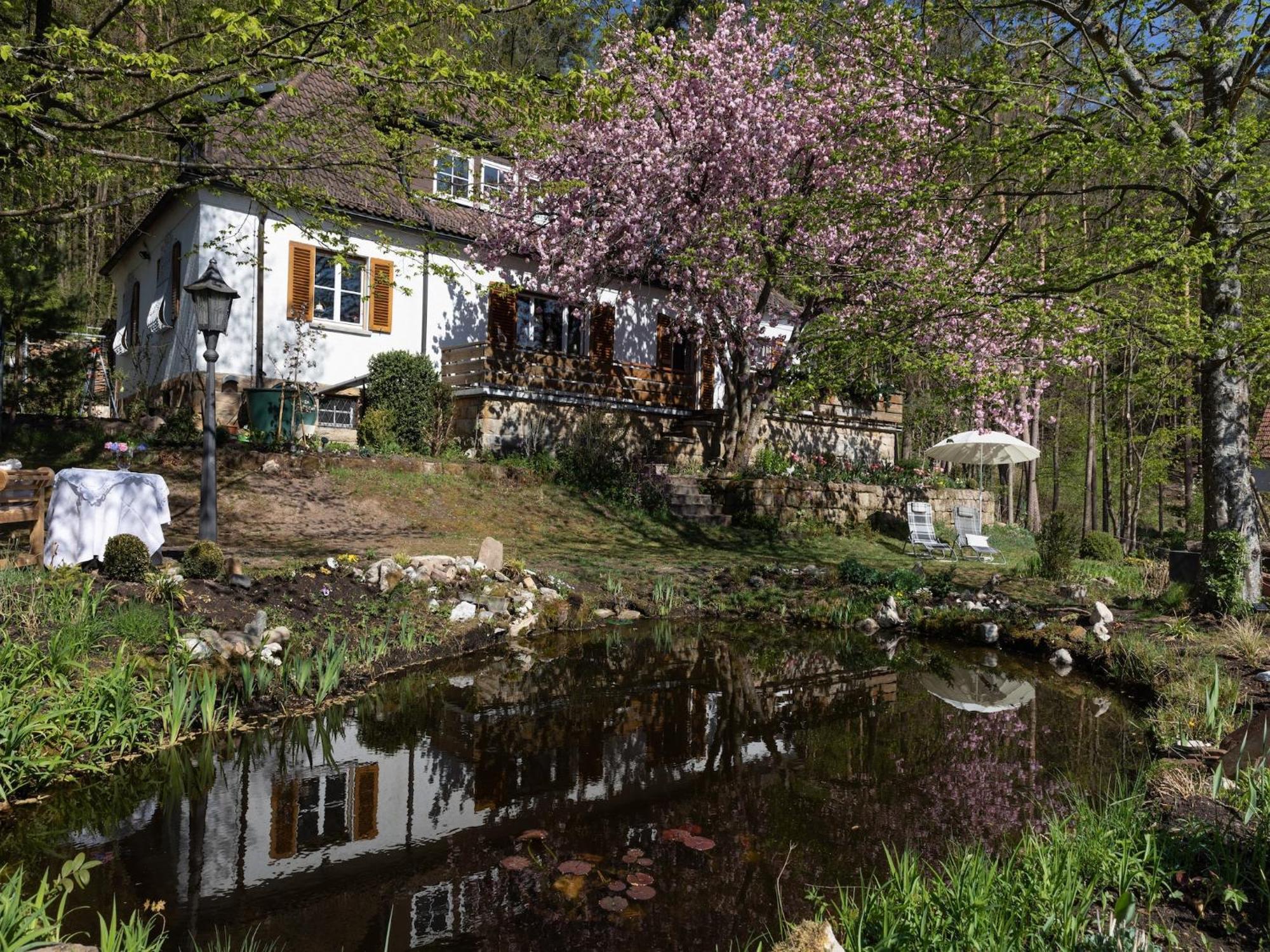 Charming Apartment In Wei Enbrunn Near Forest Weissenbrunn المظهر الخارجي الصورة